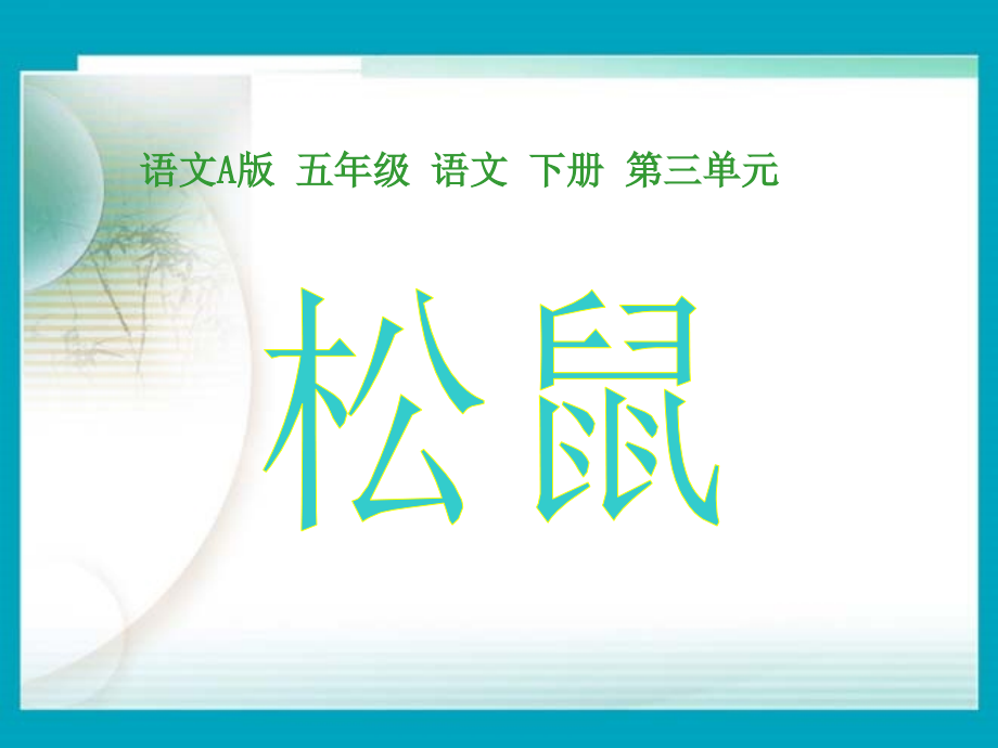 (语文A版)五年级语文下册课件-松鼠.ppt_第1页