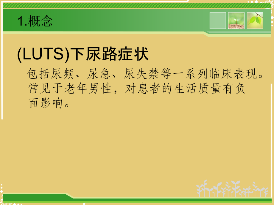 男性下尿路症状LUTS的处理.ppt_第2页