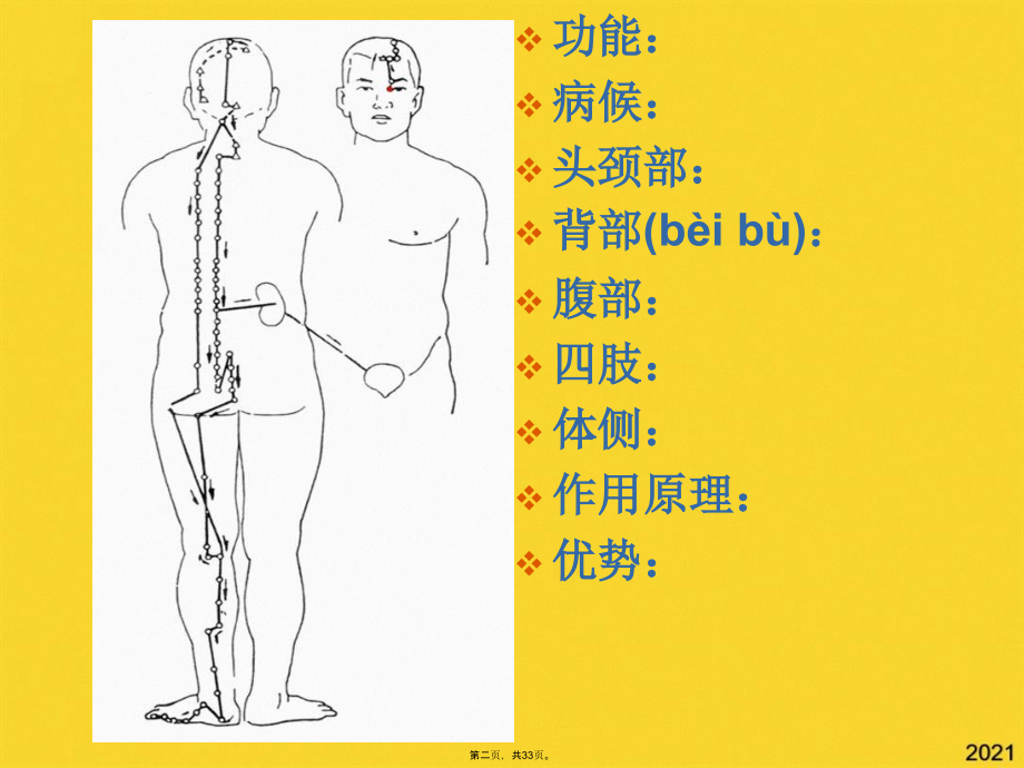 膀胱和足太阳膀胱经的作用.pptx_第2页