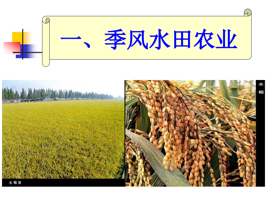 《以种植业为主的农业地域类型》课件1.ppt_第2页