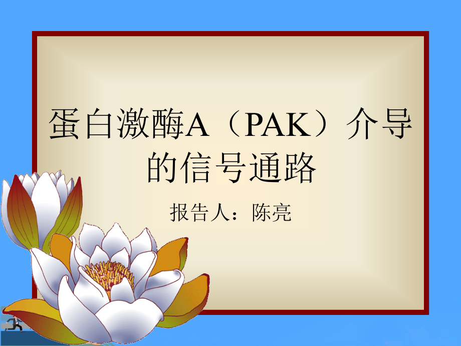 蛋白激酶A介导的信号通路.ppt_第1页