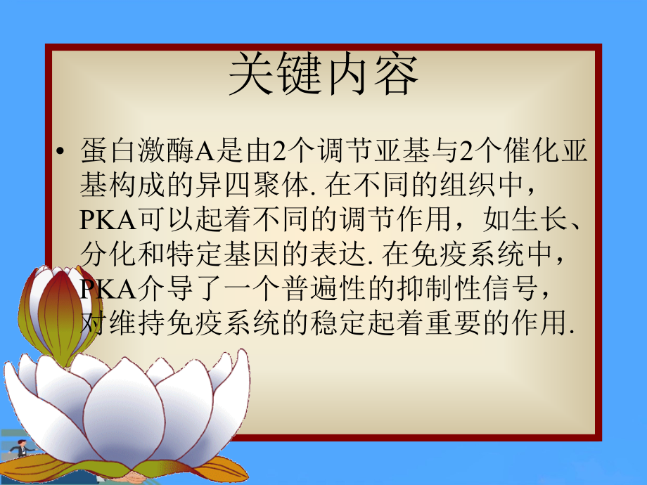 蛋白激酶A介导的信号通路.ppt_第2页
