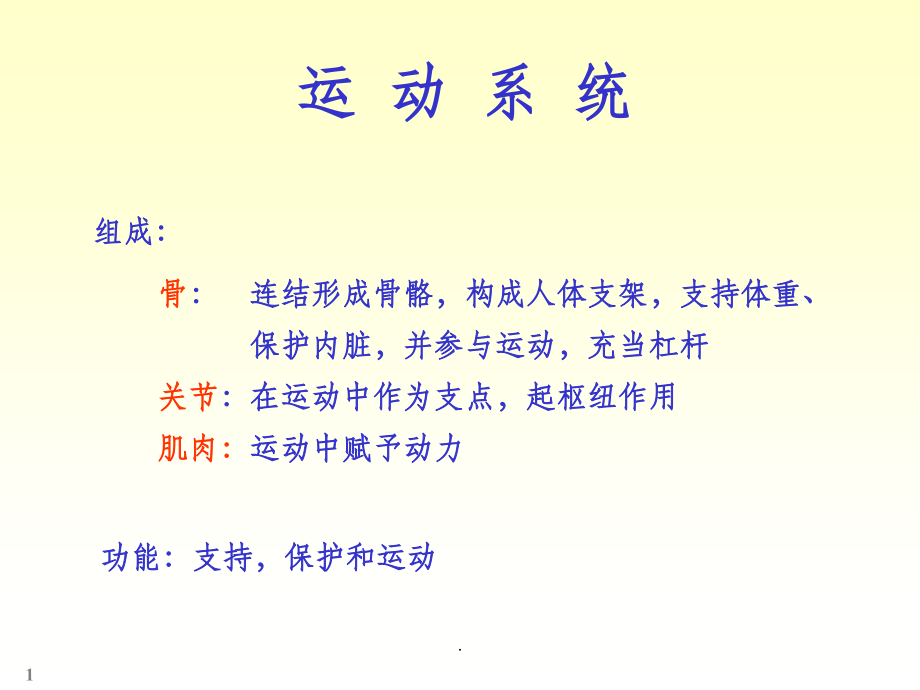 人体解剖学骨学.ppt_第1页