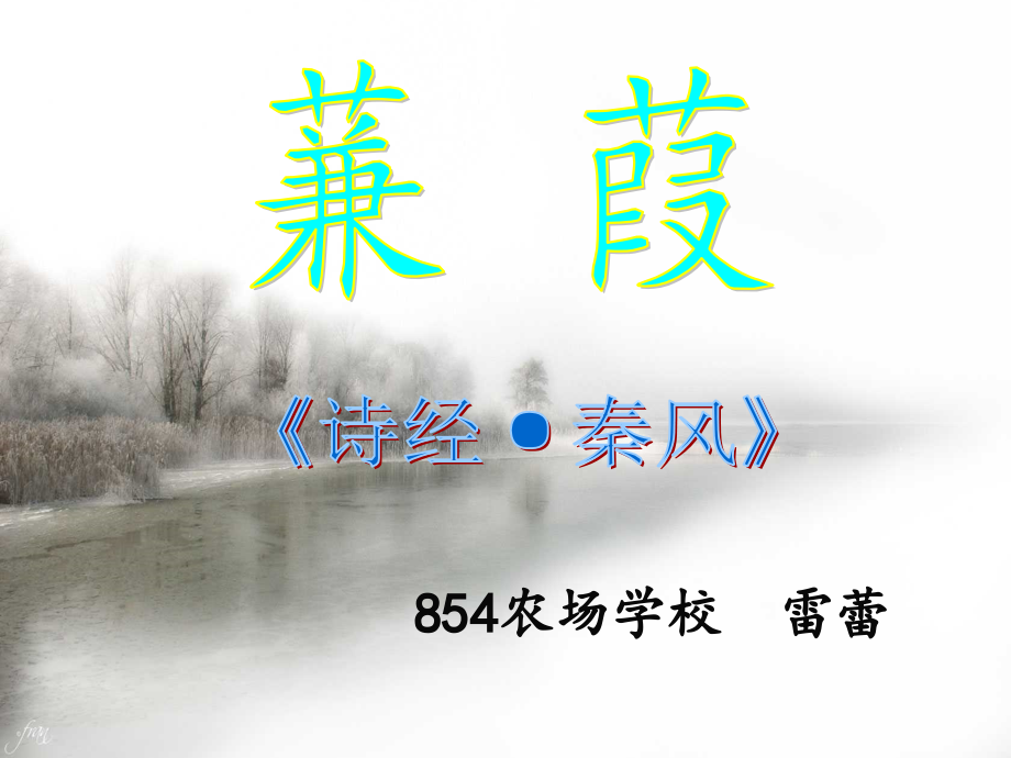 蒹葭-(2).pptx_第1页