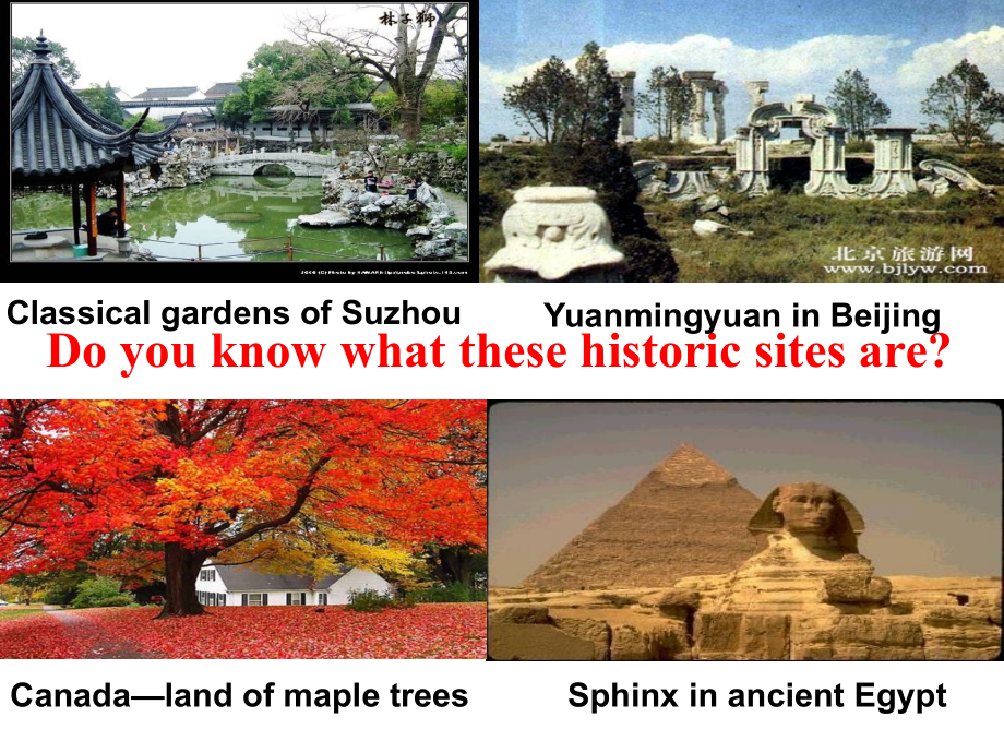 Reading：TheAcropolisnow.ppt_第1页