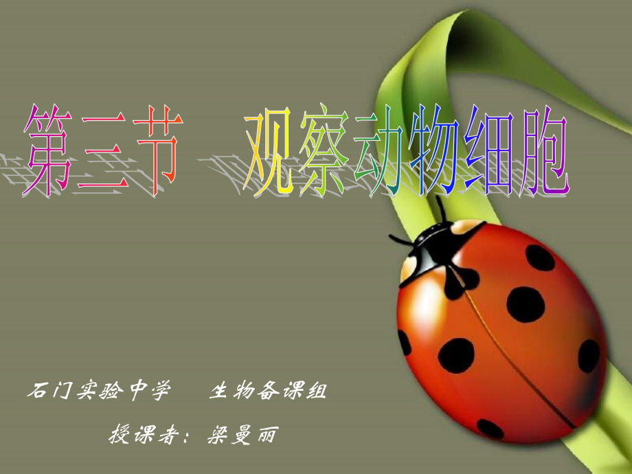 第二单元第一章第三节《观察动物细胞》课件.ppt_第1页