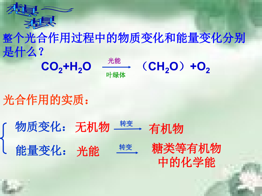 光合作用(二).ppt_第2页