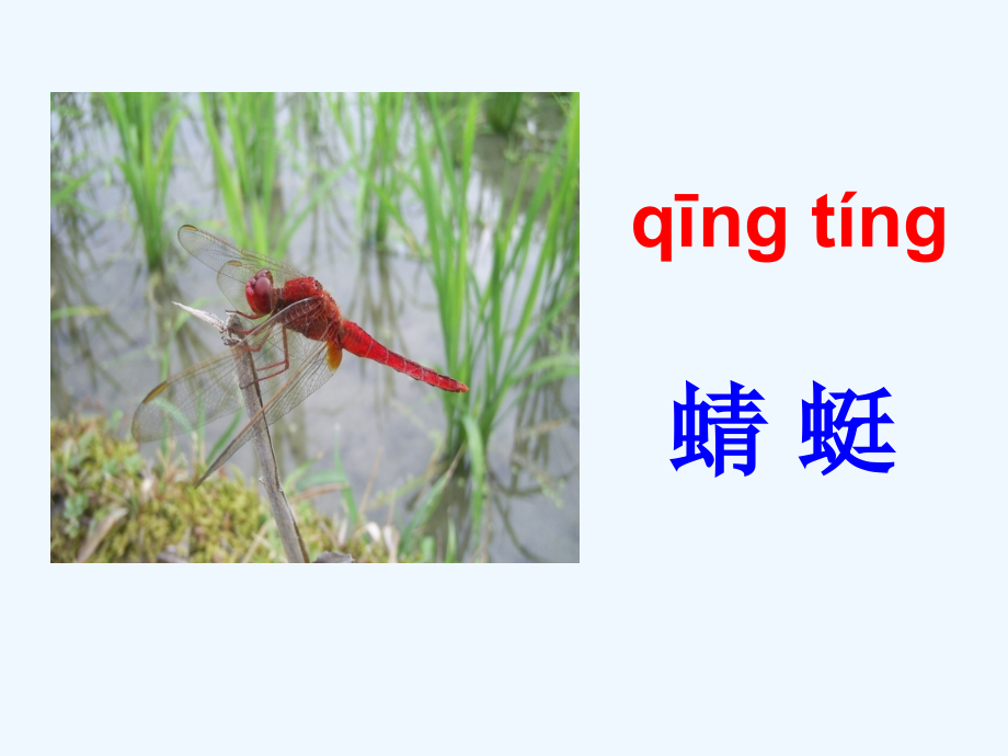 (部编)人教语文一年级下册《动物儿歌》教学课件一课时.ppt_第2页