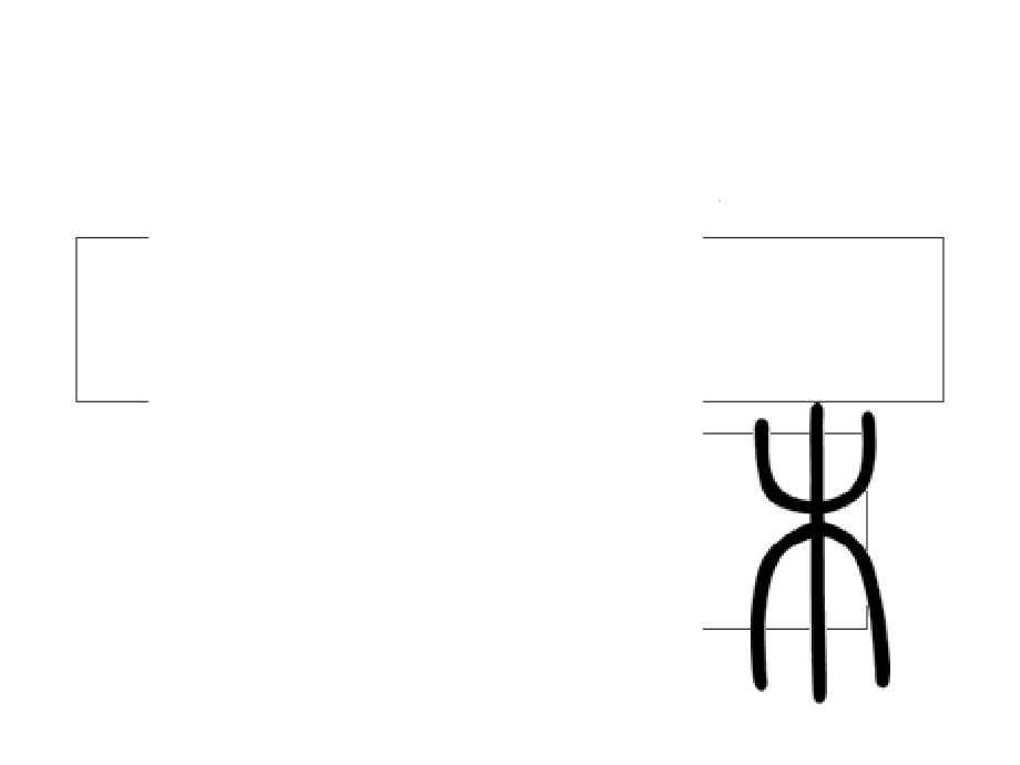 一年下丁丁冬冬学识字——木.ppt_第2页