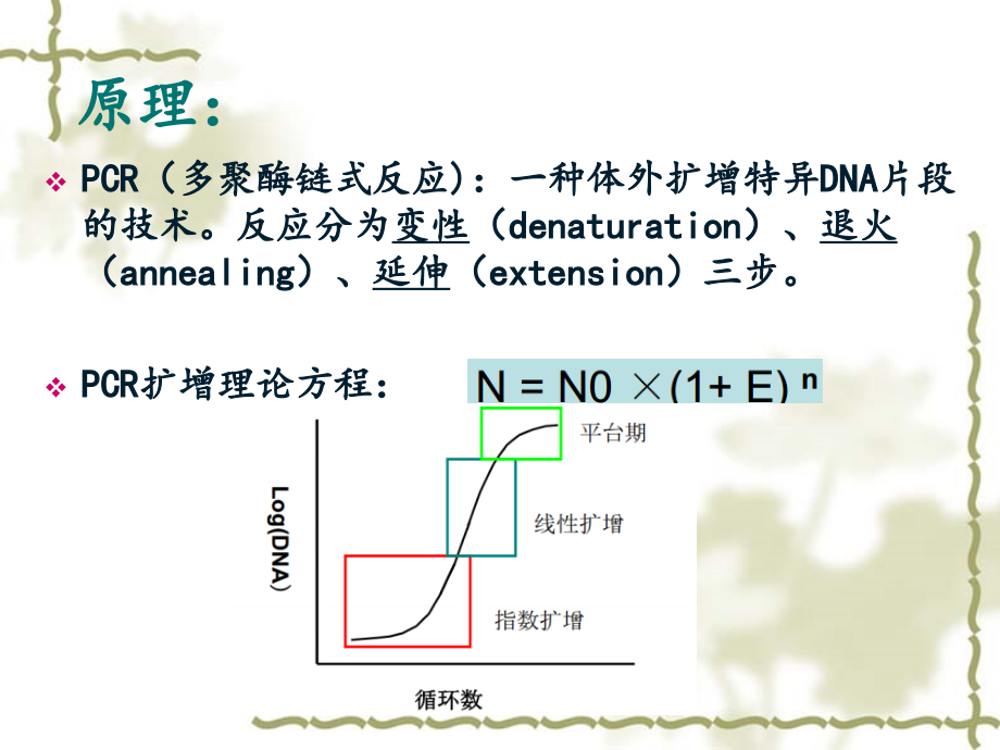 定量PCR方法及数据分析.ppt_第2页