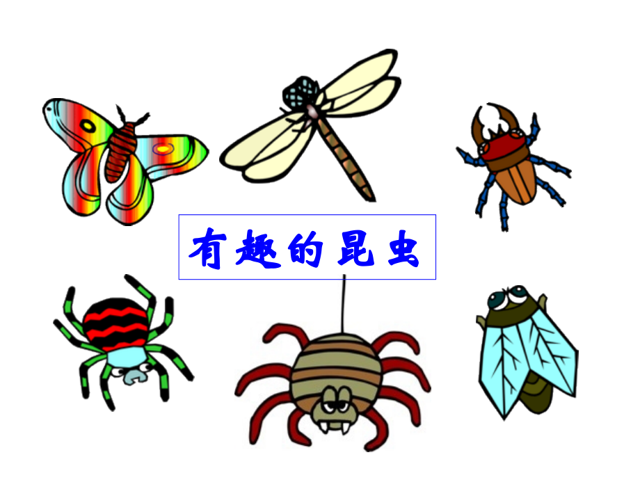 五年级下册《轴对称图形》..ppt_第2页