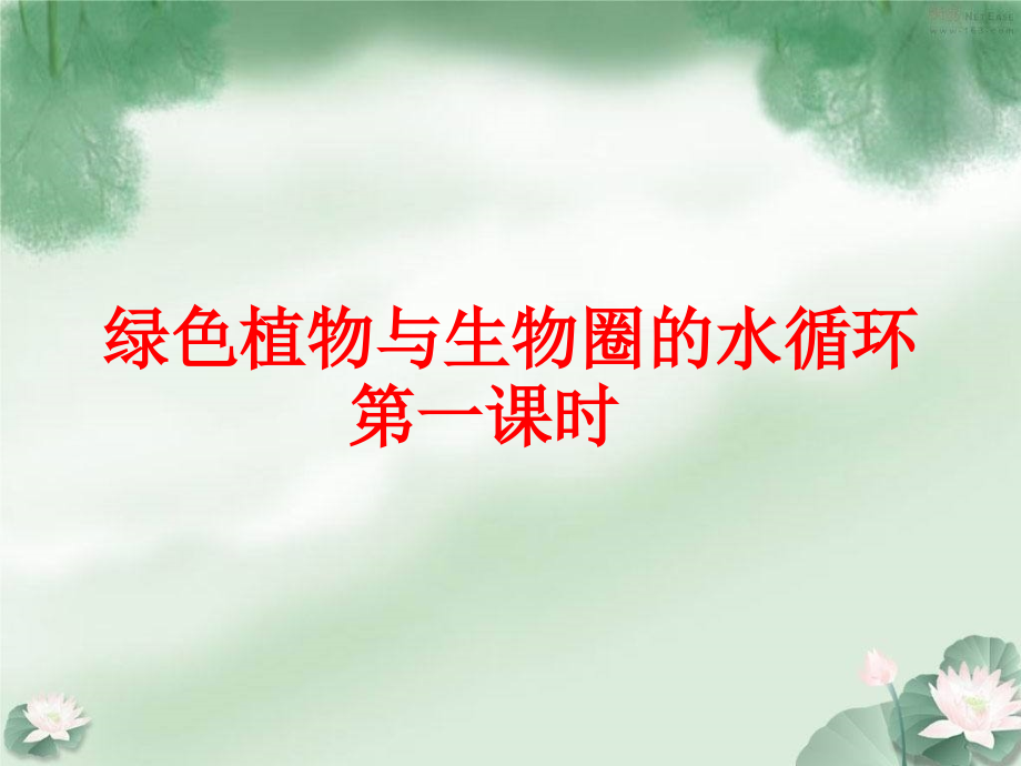 《绿色植物与生物圈的水循环》.ppt_第1页
