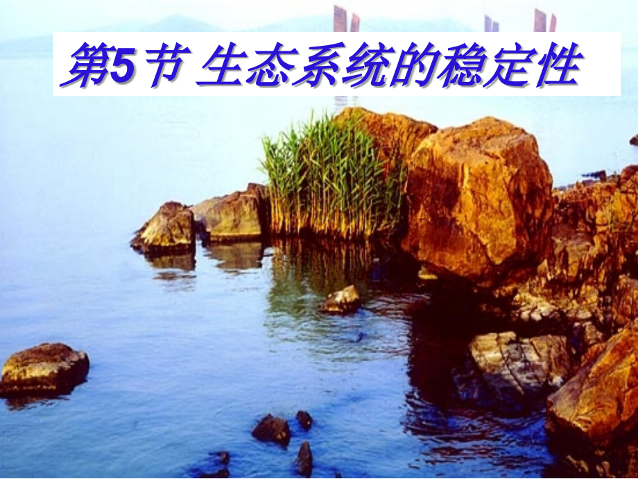 必修三5.5生态系统的稳定性.ppt_第1页