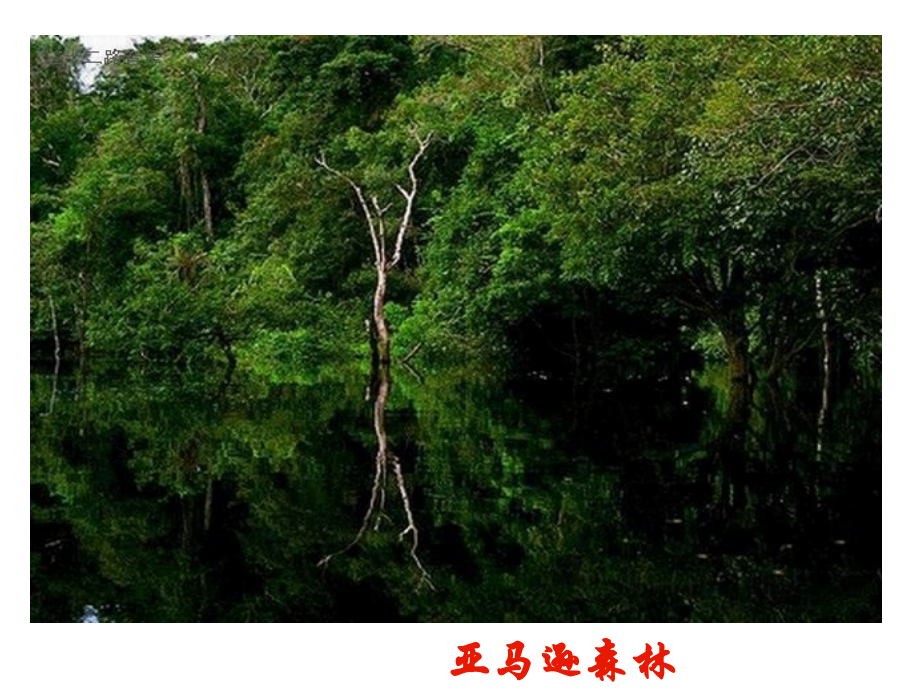 必修三5.5生态系统的稳定性.ppt_第2页