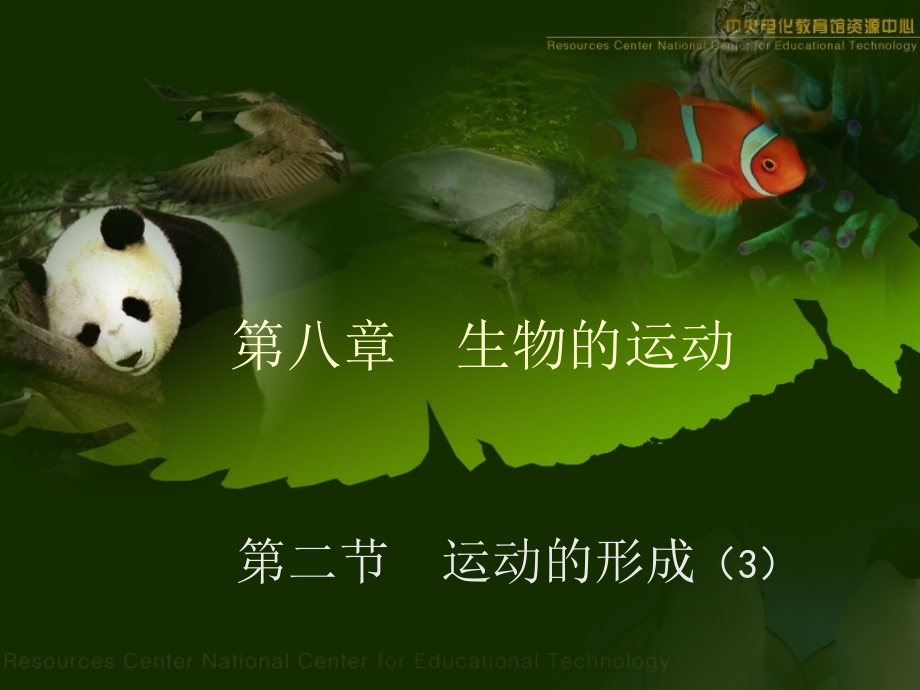 第二节---运动的形成(第三课时).ppt_第1页