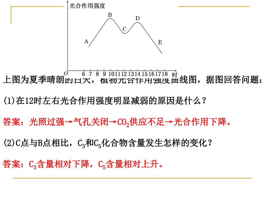 光合作用中的图形分析.ppt_第2页