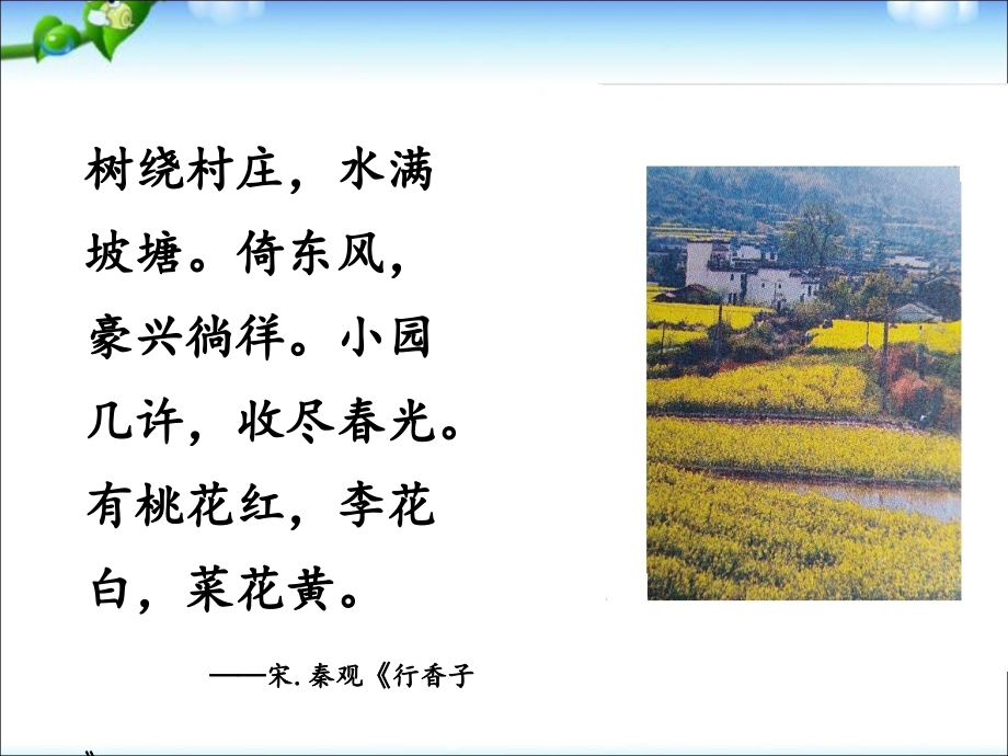 第三节拟定保护生态环境的计划.ppt_第2页