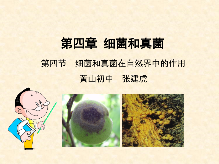 生物课件：人教版八年级上第五单元第四章第四节细菌和真菌在自然界中的作用.ppt.ppt_第2页