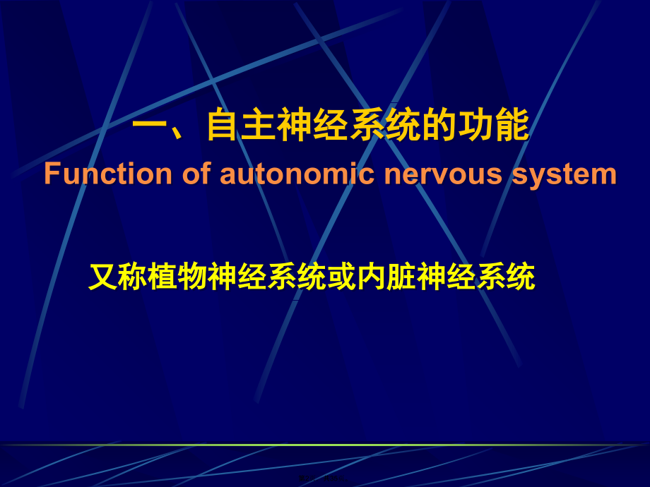 生理第十章课件第六部分.pptx_第2页