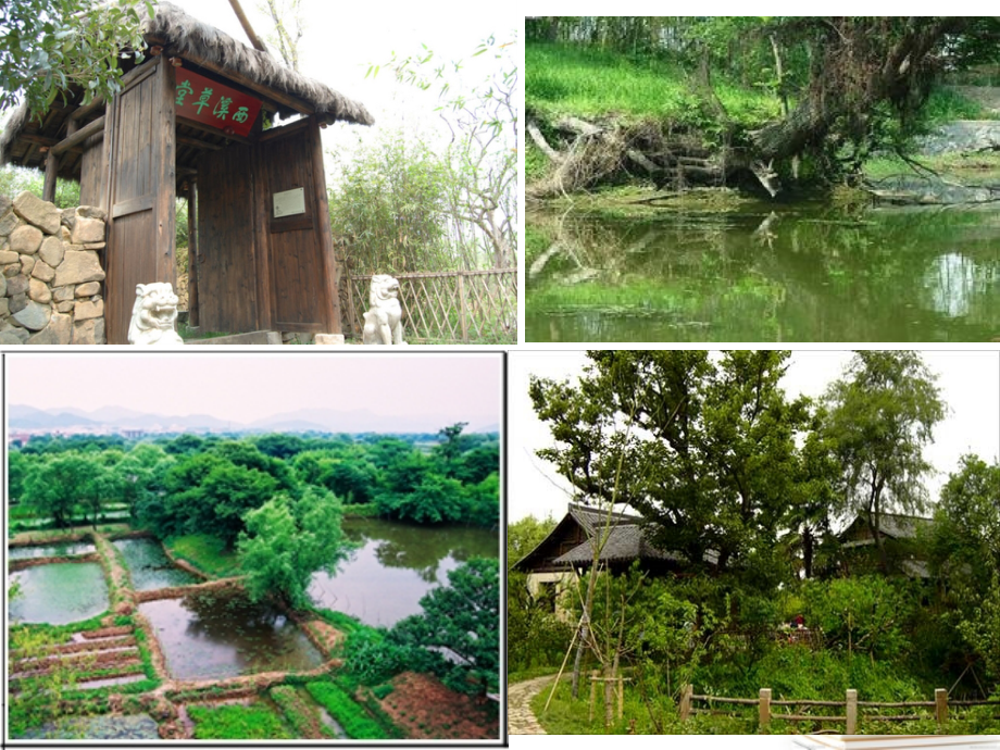 浙江省义乌市高三地理《22湿地资源的开发与保护》复习课件.ppt_第2页