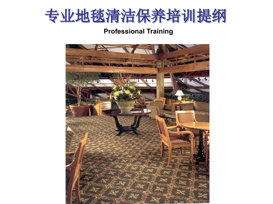 地毯保养.ppt_第1页
