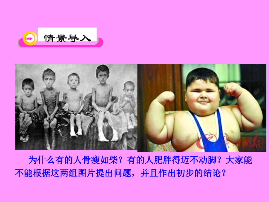 第一节-人类的食物.ppt_第2页