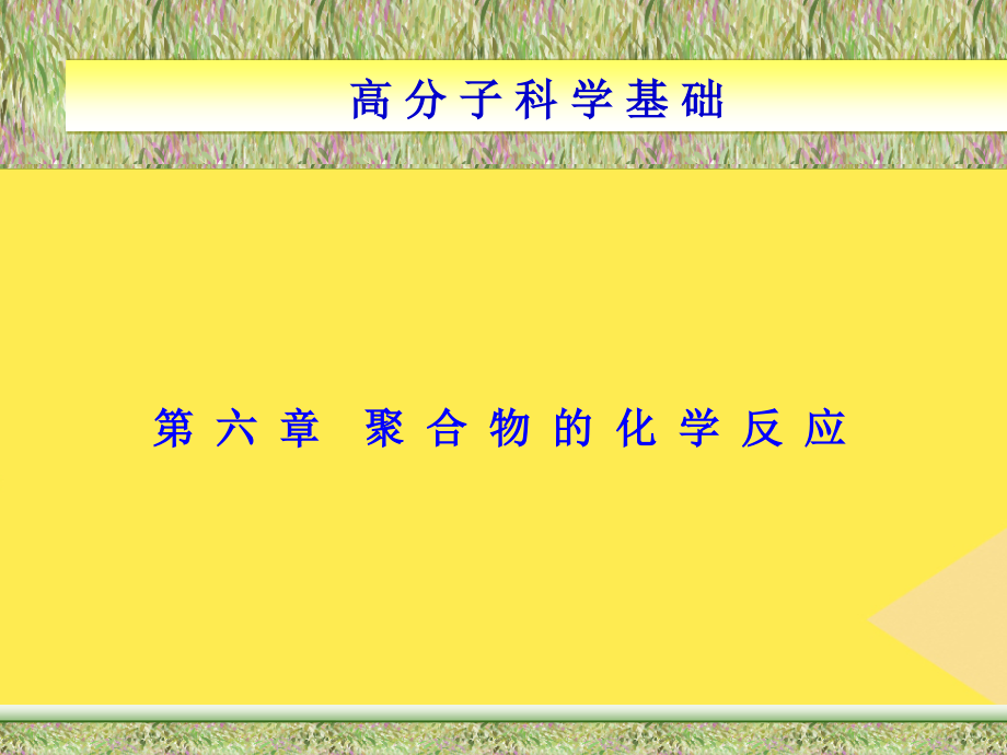 第六章聚合物的化学反应高分子科学基础.pptx_第1页