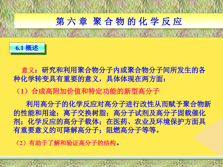 第六章聚合物的化学反应高分子科学基础.pptx_第2页