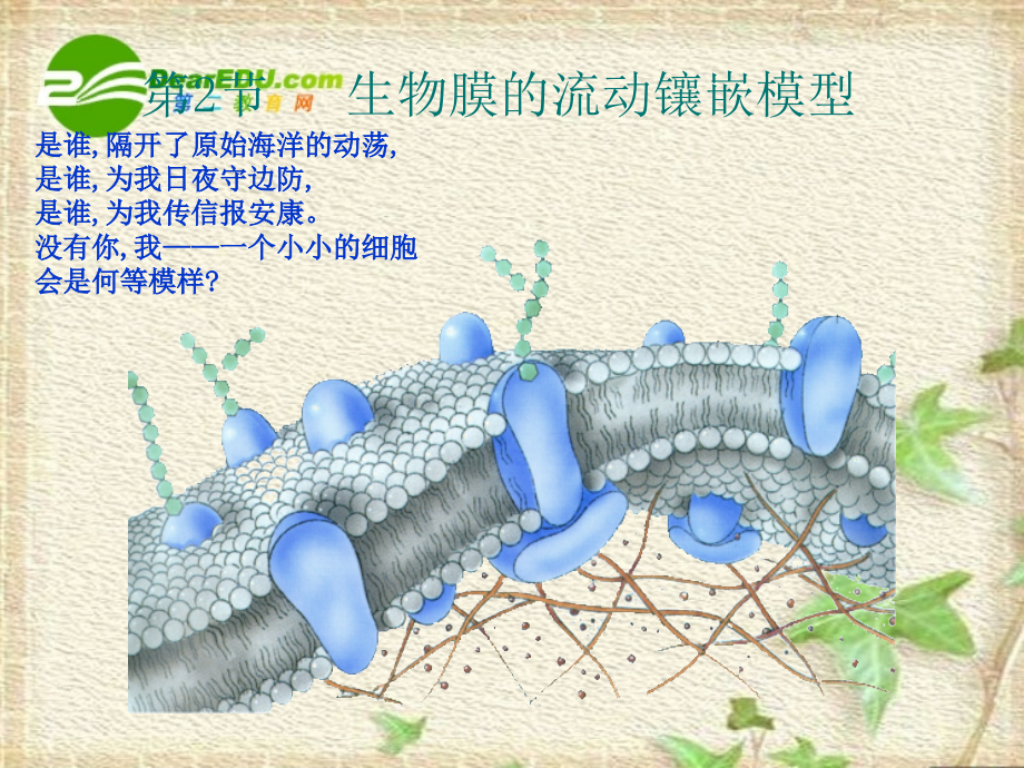 高中生物：-42-生物膜的流动镶嵌模型(课件)人教版必修1.ppt_第1页