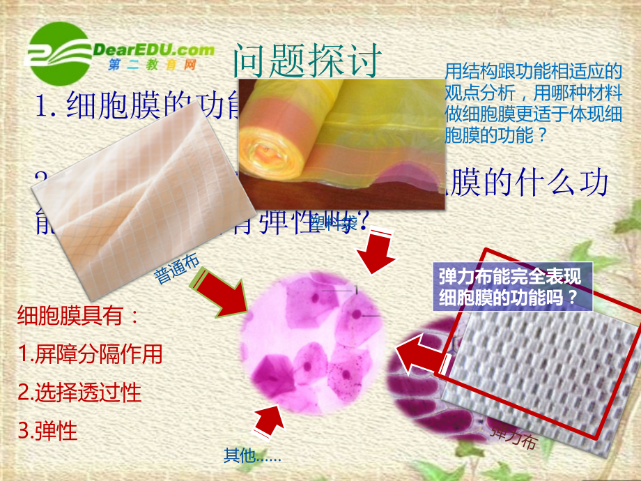 高中生物：-42-生物膜的流动镶嵌模型(课件)人教版必修1.ppt_第2页
