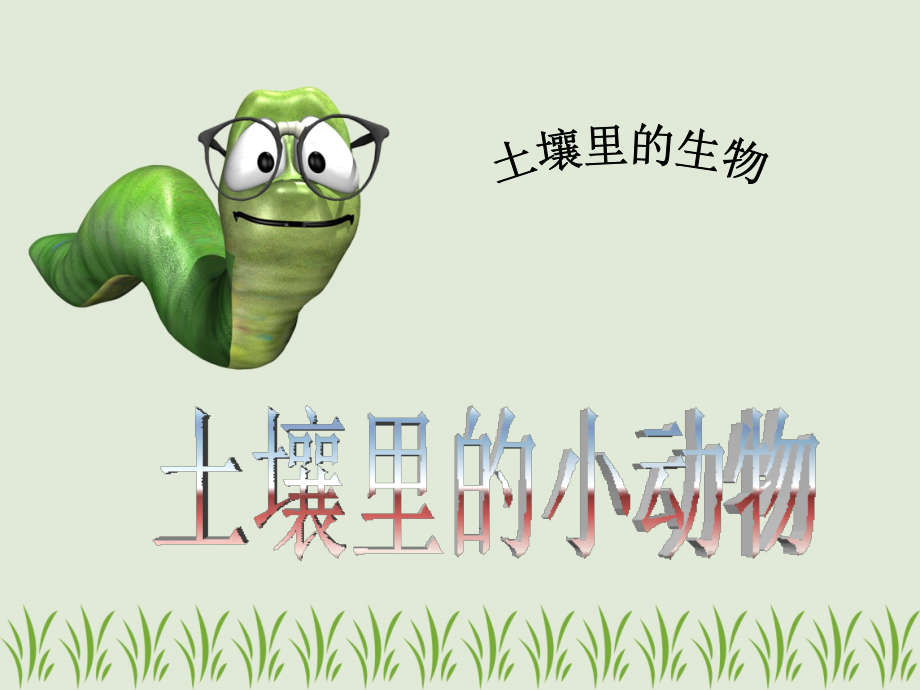 第1节土壤里的小动物.pptx_第1页