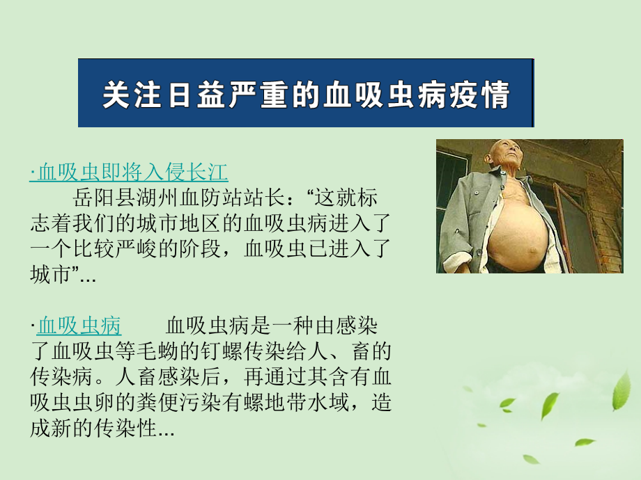 高中生物-2.4《动物疫病的控制》课件-新人教版选修2.ppt_第2页
