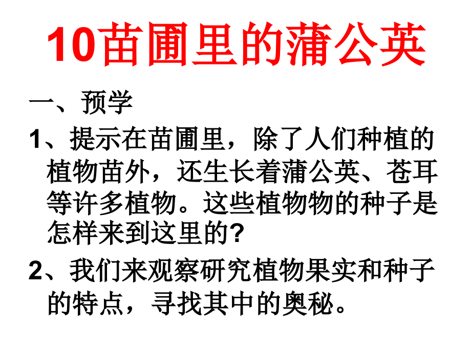 小学科学把种子散播到远处.ppt_第1页