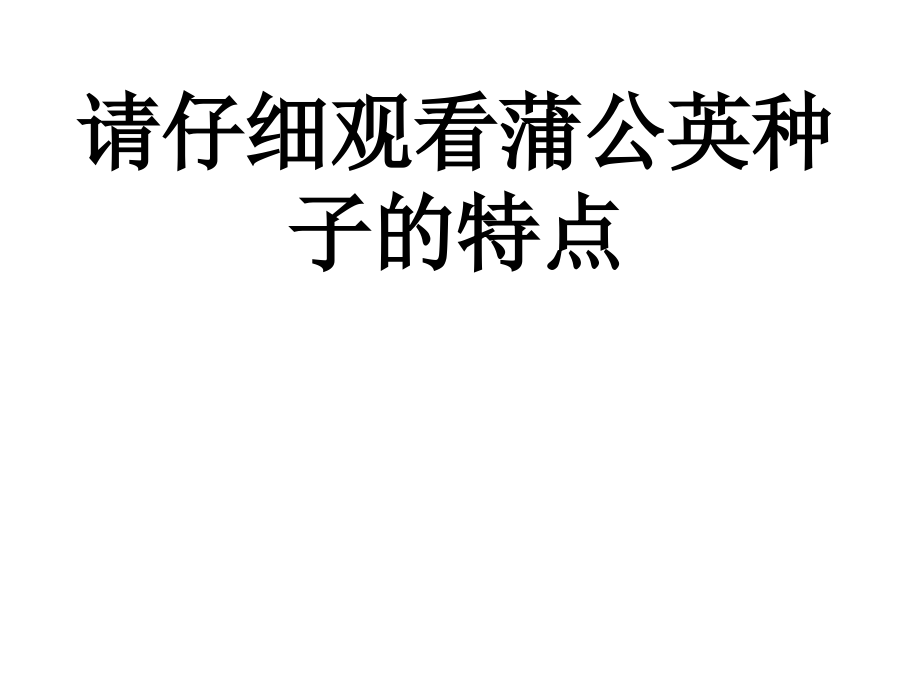 小学科学把种子散播到远处.ppt_第2页