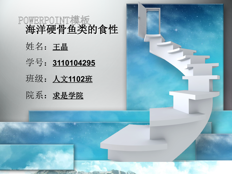 海洋硬骨鱼.ppt_第1页