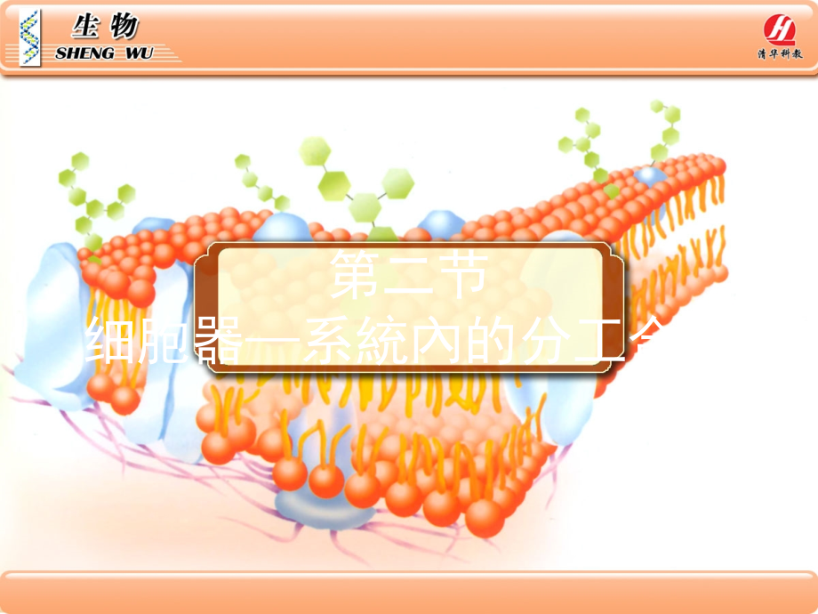 生物学①必修3.2《细胞器——系统内的分工合作》PPT课件.ppt_第1页