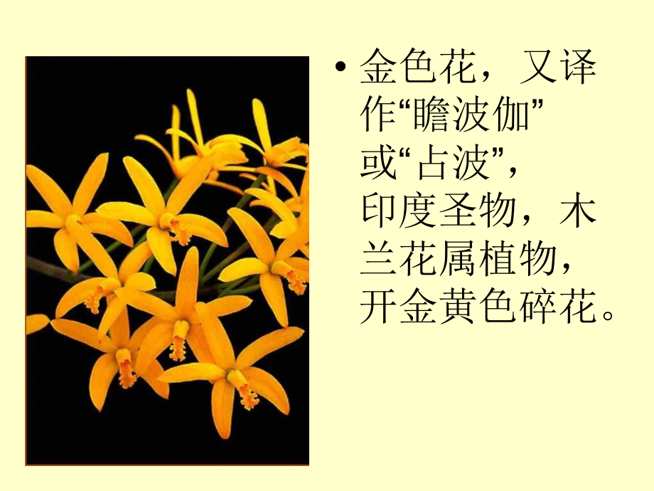 散文诗两篇..ppt_第2页