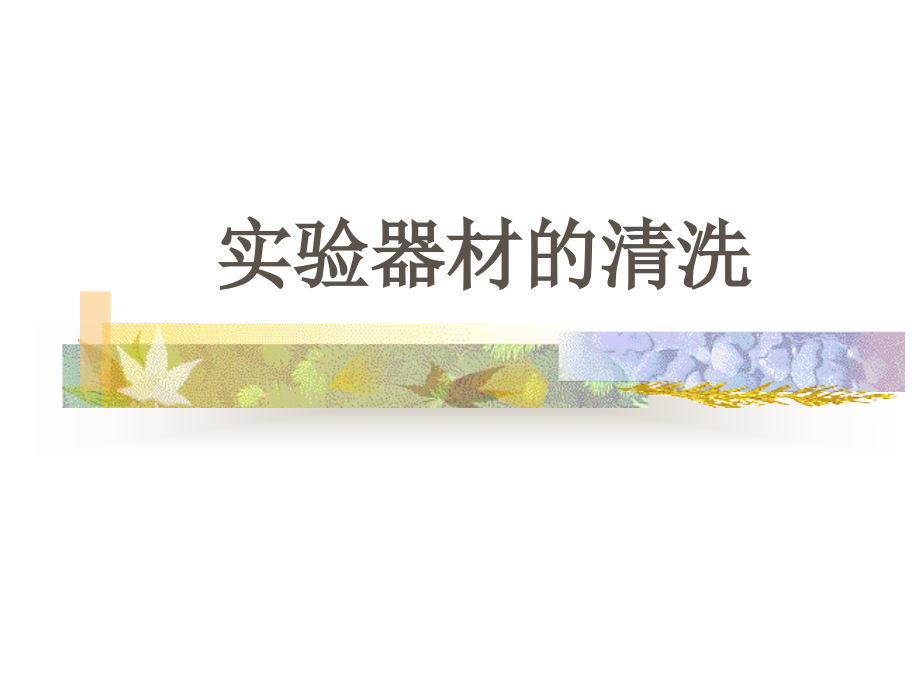 实验器材的清洗.ppt_第1页