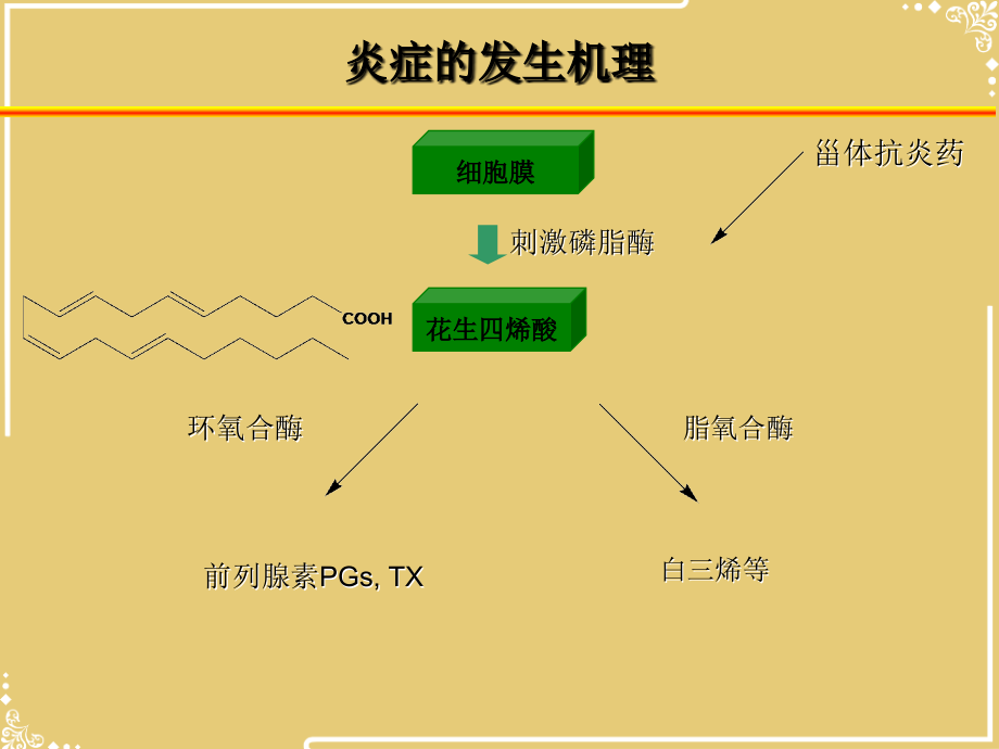 第六章解热镇痛药和非甾体抗炎药文档.ppt_第2页