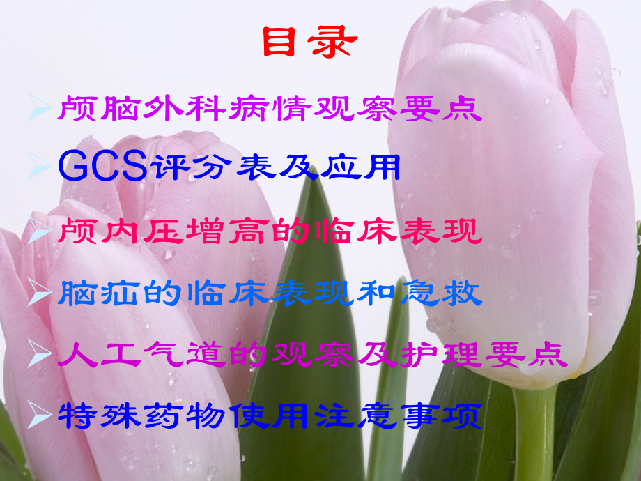 颅脑外科重点观察和护理环节推选.ppt_第2页