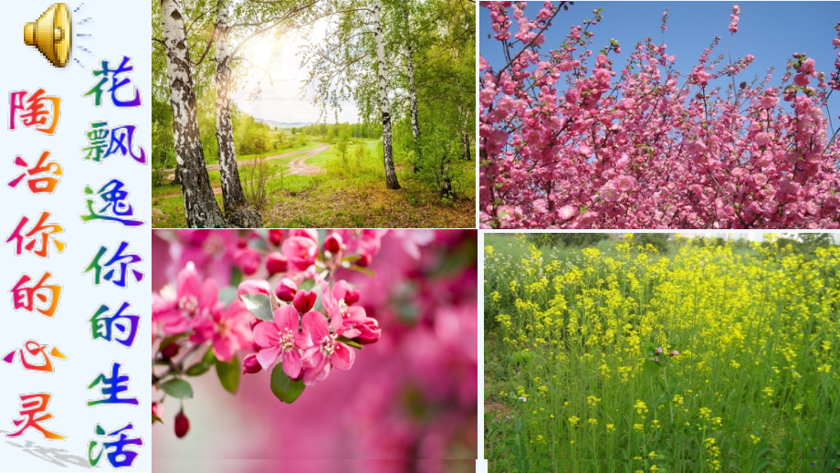 (部编)初中语文人教七年级下册17-紫藤萝瀑布.ppt_第1页