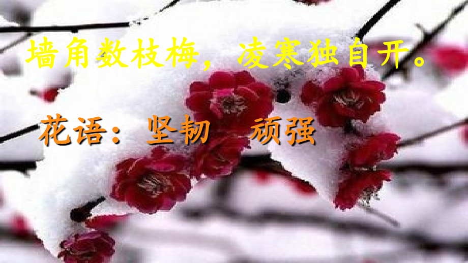 (部编)初中语文人教七年级下册17-紫藤萝瀑布.ppt_第2页