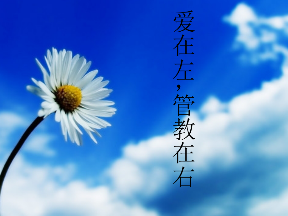 爱在左-管教在右.ppt_第1页