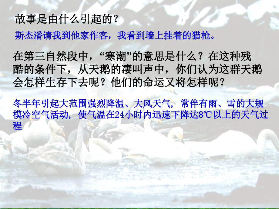 苏教版小学语文第八册《天鹅的故事》第二课时PPT.ppt_第2页