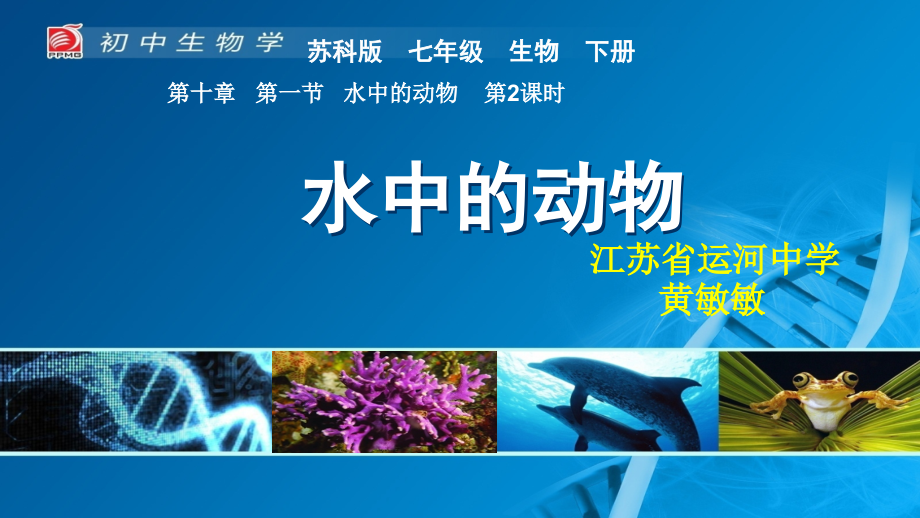 第节水中的动物.ppt_第1页