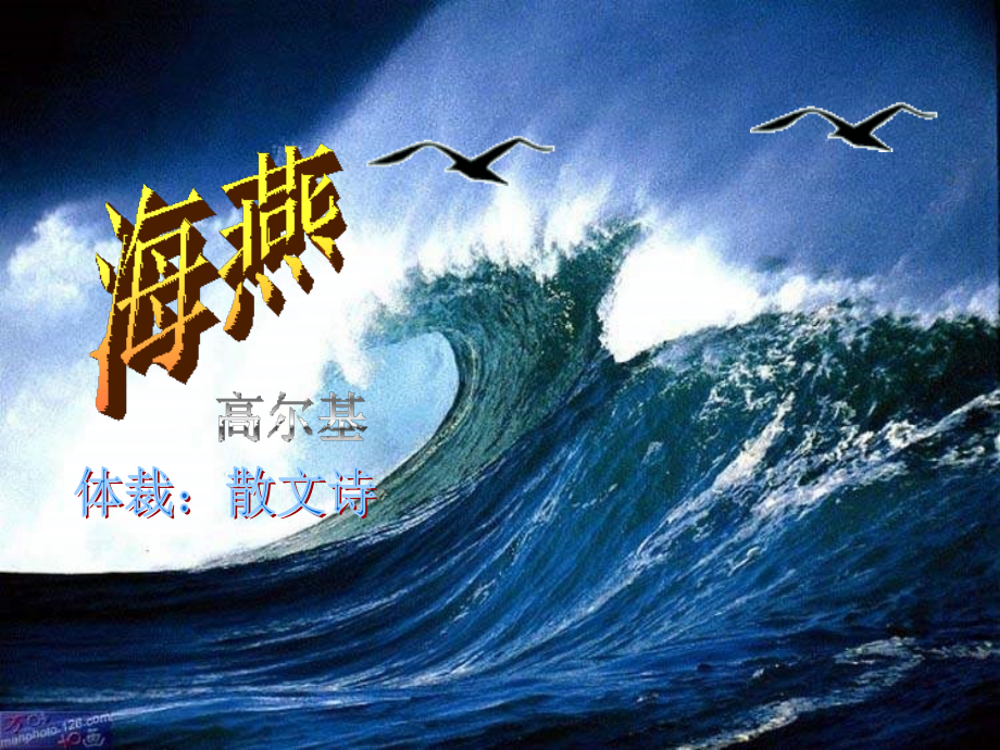 海燕课改合格课.ppt_第1页