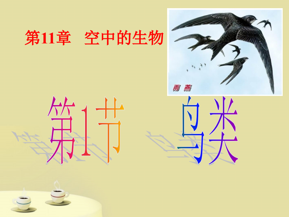第1节鸟类.ppt_第1页