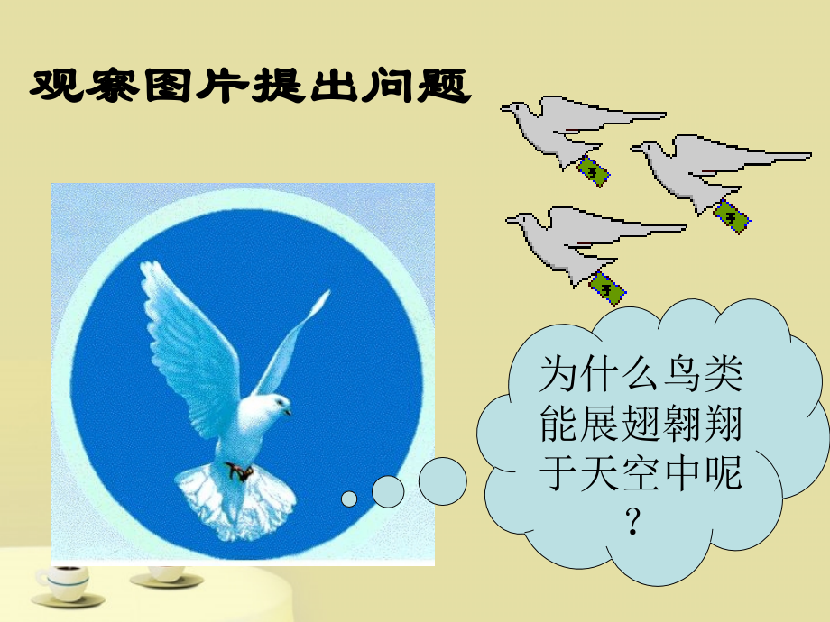 第1节鸟类.ppt_第2页