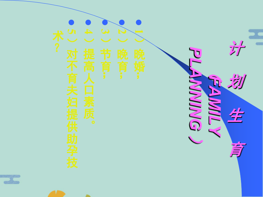 计划生育.pptx_第2页