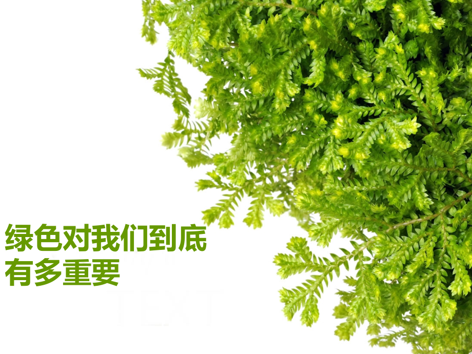思品课——6花草树木点头笑.ppt_第1页